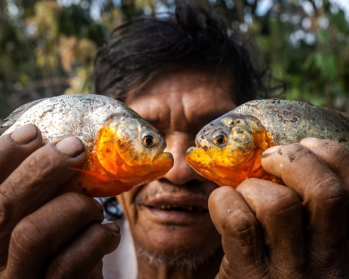 Invisible poison: living with mercury pollution in the Colombian Amazon – in pictures