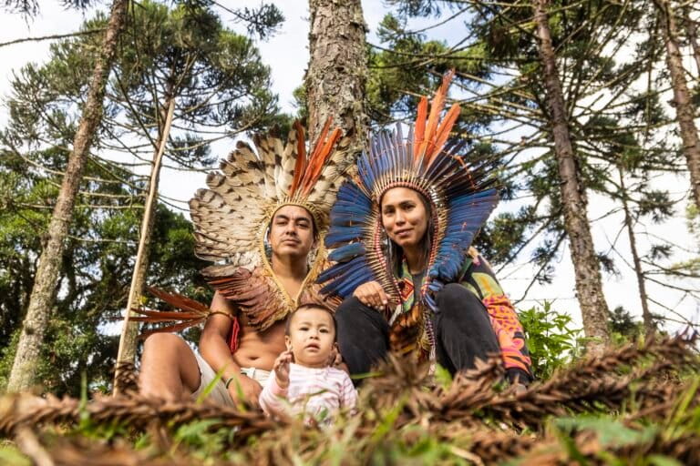 Xokleng Indigenous people plant thousands of critically endangered pine in Brazil
