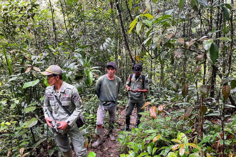 On the front lines of conservation in Sumatra: Rangers safeguard Batutegi forest