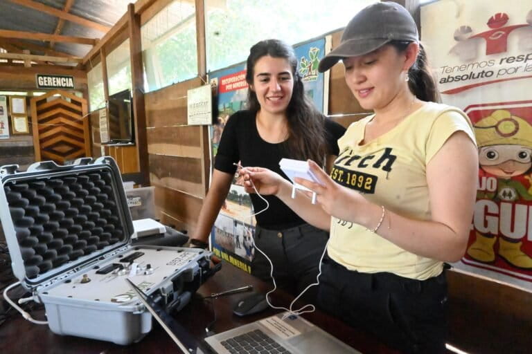 Estudio revela cómo se acumula el mercurio en los insectos de la Amazonía peruana