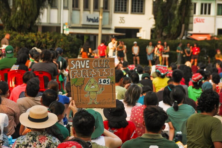 Singapore spending billions to adapt to climate change, but deforestation continues