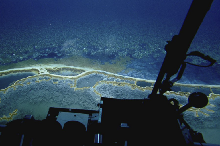 Gulf of Mexico’s unique Orca Basin shouldn’t become a carbon dump (commentary)