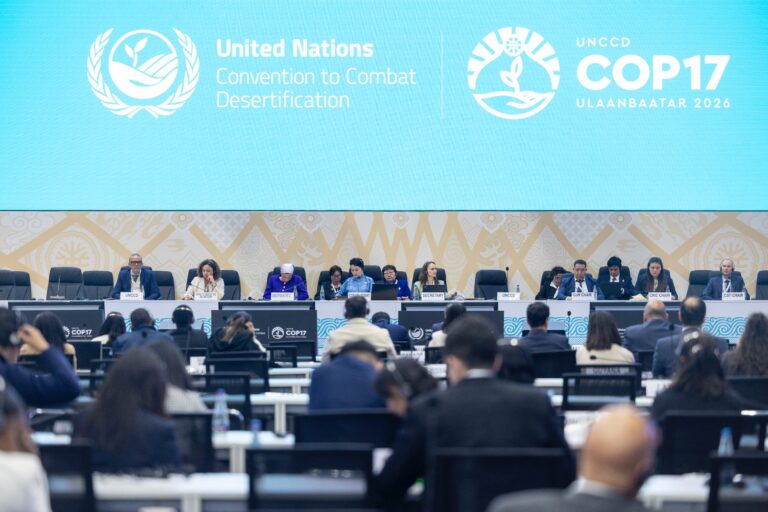 COP17: el mundo no logra un acuerdo contra la sequía y posterga la agenda de sociedad civil en la restauración de la tierra