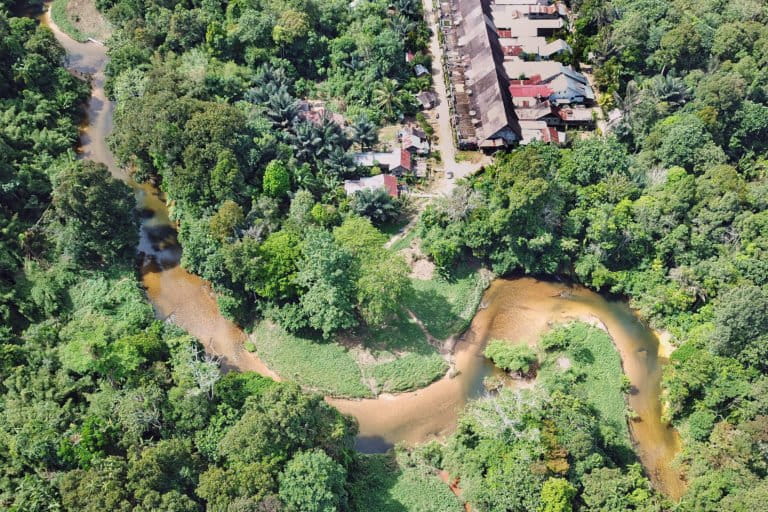 Community programs linked to lower forest loss in Indonesia’s Borneo during COVID-19