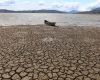 La OMM prevé un El Niño "muy fuerte" con pico a fin de año y persistencia hasta febrero de 2027