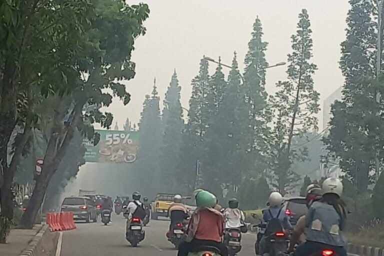 In Southeast Asia, residents grapple with life under Indonesia’s wildfire haze