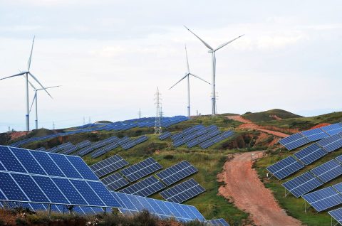 Industry and NGOs lobby to weaken UN carbon credit rules in “coordinated” push