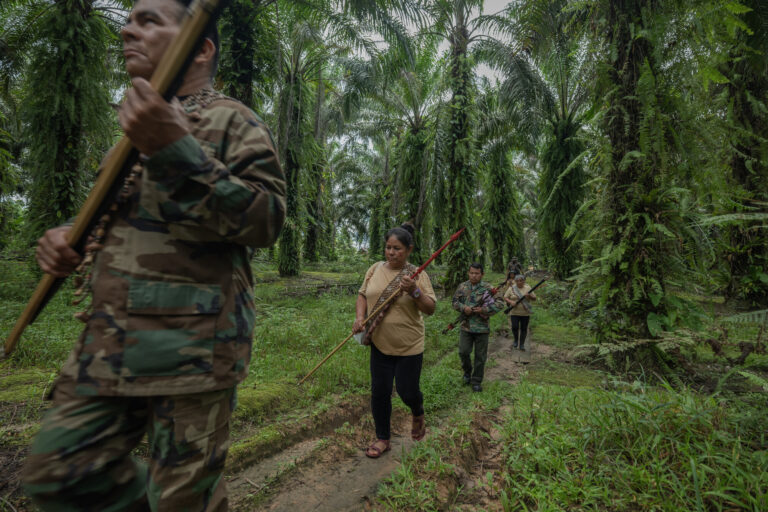 América Latina concentró el 85 % de los asesinatos de personas defensoras del territorio y el ambiente en 2025 | INFORME
