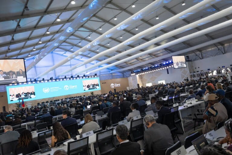 COP17 concluyó sin acuerdos contra la sequía | Coyuntura ambiental