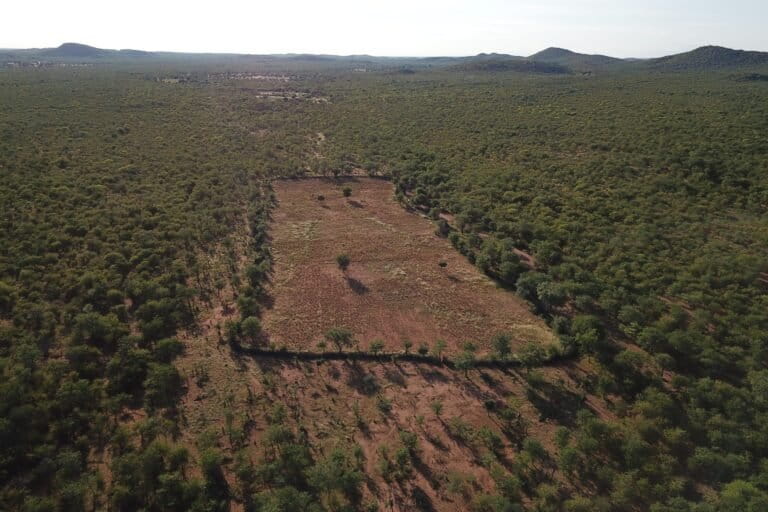 Lack of data hinders fight against environmental crimes in Angola, says environmentalist