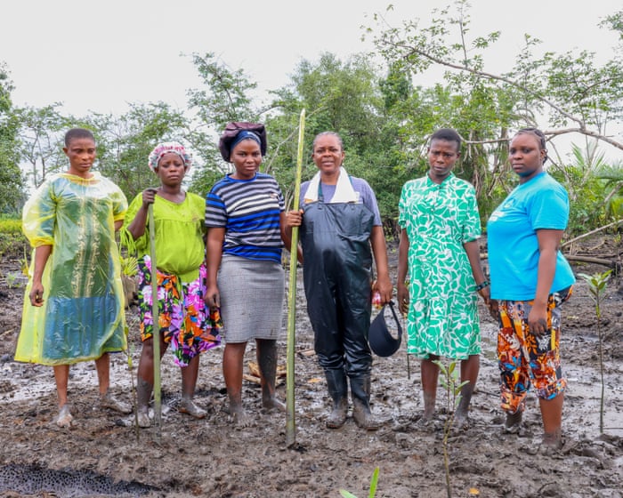 One green shoot at a time: the women restoring mangrove forests in the oil-ravaged Niger delta