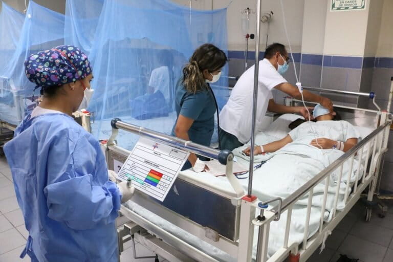 Malaria y dengue: el cambio climático influye en la expansión de las dos enfermedades transmitidas por mosquitos más comunes en el planeta