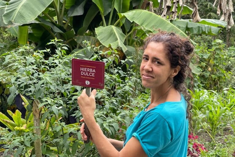 Superplantas en Ecuador: son alimento, reducen monocultivos y agroquímicos y podrían enfrentar la crisis climática