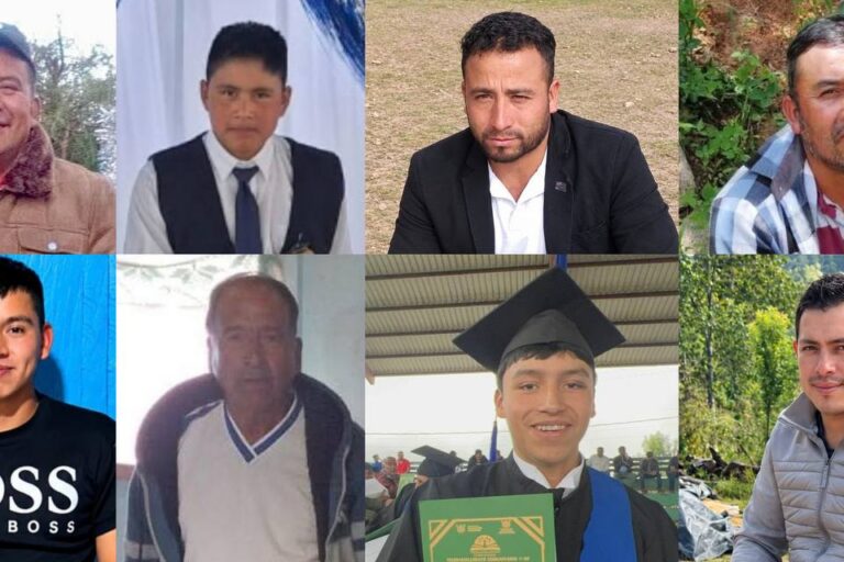 México: la desaparición de siete defensores del bosque que sacudió y movilizó al ejido El Balcón
