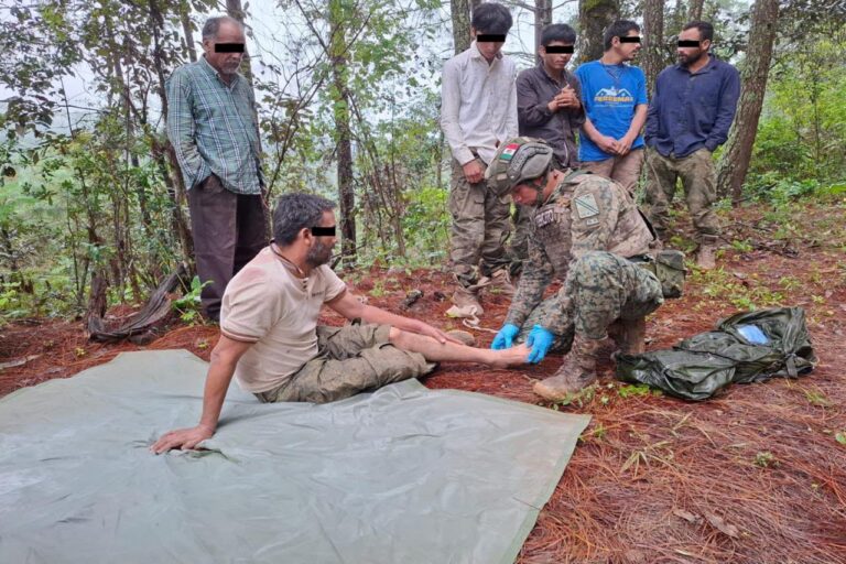México: liberan a seis defensores del bosque en Guerrero, pero uno sigue desaparecido