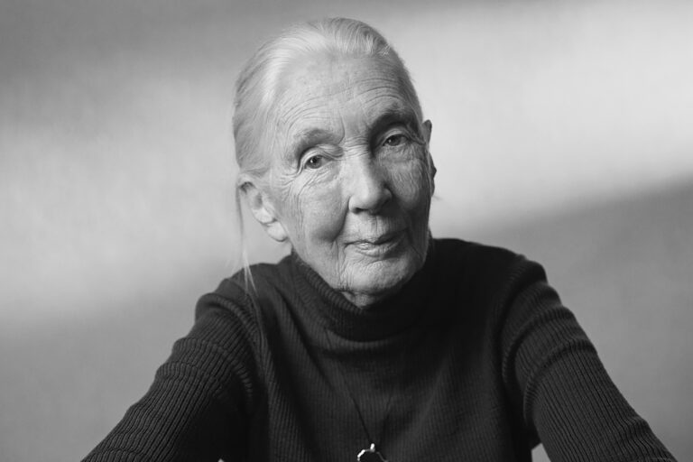 A year ago today, Jane Goodall died at 91. Her message is more important than ever