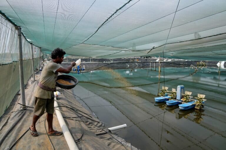 For Indian communities, fishmeal factories bring pollution, danger and protests